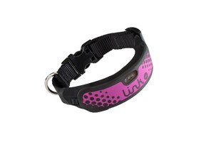 Link AKC Adds Extra Small Collar And Sport Sleeve Accessory To Product Lineup