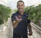 Mucci Farms Smuccies™ Sweet Strawberries keep getting sweeter!