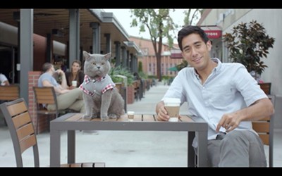 Digital magician Zach King partners with Fresh Step to debut new video celebrating the magic of cat adoption.