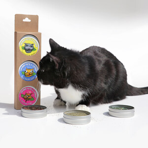 "Meow &amp; Paw" startup company launches the purrfect gift for cat lovers, just in time for the holidays!