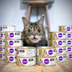On National Cat Day Lil BUB Gifts Free Cans Of Halo® Holistic Cat Food: One For Your Cat And One For A Shelter Cat In Need