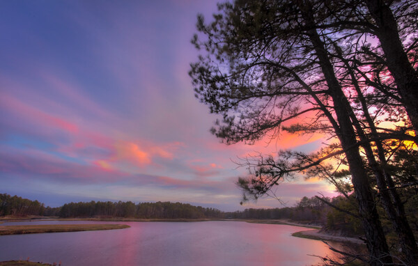 SouthView: The Water. The Woods. The Wonder.