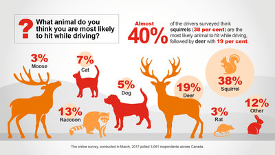 What animal do you think you are most likely to hit while driving? (CNW Group/State Farm)