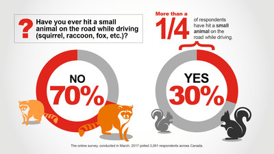 Have you ever hit a small animal on the road while driving? (CNW Group/State Farm)