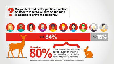 Do you feel that better public education on how to react to wildlife on the road is needed to prevent collisions? (CNW Group/State Farm)