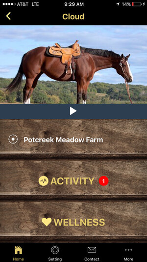 Magic AI Launches Artificially Intelligent 24/7 Monitoring System for Horses