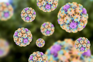 IBBR and Frederick National Lab Establish a Human Papillomavirus (HPV) Vaccine Development Collaboration