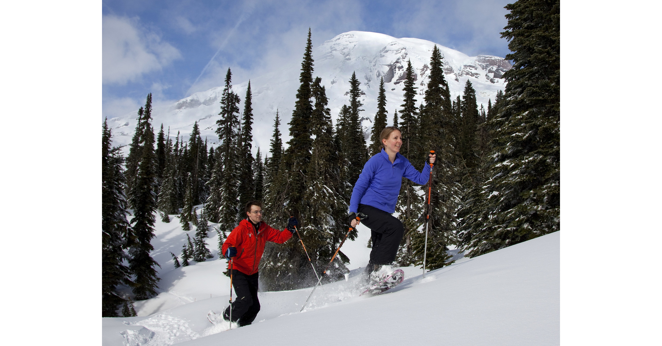 Make Festive Holiday Family Memories in Washington