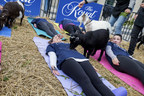 Pop-up goat yoga sets the stage for the 95th Royal Agricultural Winter Fair