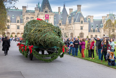 A towering Fraser fir tree arrived at Biltmore House this week as the finishing touch after weeks of decorating the home for the holidays. Christmas at Biltmore and Candlelight Christmas Evenings begin today.
