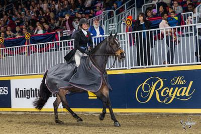 Darcy Hayes of Aurora, ON, rode Say When to a second consecutive victory in the $15,000 Braeburn Farms Hunter Derby for owner Danielle Trudell-Baran on Sunday, November 5, at the Royal Horse Show in Toronto, ON. Photo by Ben Radvanyi Photography (CNW Group/Royal Agricultural Winter Fair)