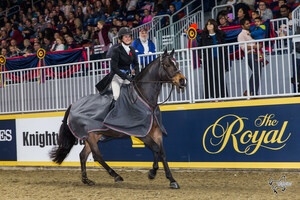 Darcy Hayes Claims Second Consecutive Hunter Derby Victory at the Royal Horse Show