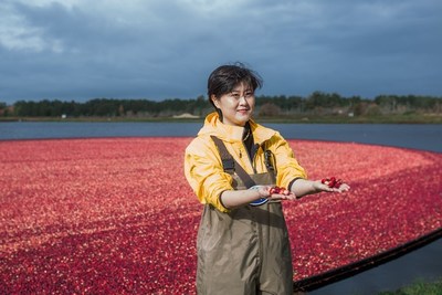 NetEase Kaola CEO Lily Lei Zhang visits a cranberry farm in Carver, Massachusetts which supplies cranberries to Ocean Spray. Zhang signed a partnership agreement with Ocean Spray to bring the iconic cranberry products to China during her visit to the U.S. in late October.