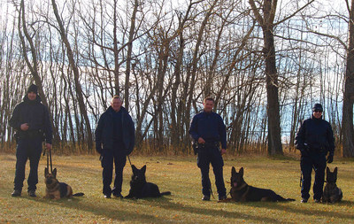 The first four RCMP dog teams to be trained to detect human remains. From left to right: Corporal Andrew Tarala with Genie from Brandon, MB; Constable Brian Veniot with Doc from Halifax, NS; Corporal Jesse Gawne with Ejay from Lethbridge, AB; Staff Sergeant Joel Leblanc with Henny from Surrey, BC. (CNW Group/Royal Canadian Mounted Police)