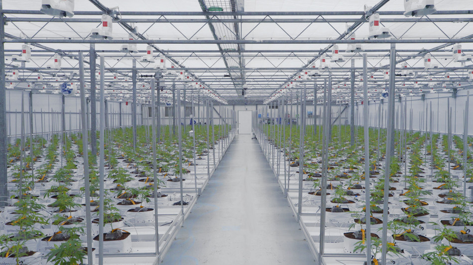 Supreme Commences Production in New Flowering Rooms
