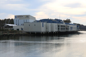 Sodexo And The Virginia Aquarium &amp; Marine Science Center Sign Extension Through 2027