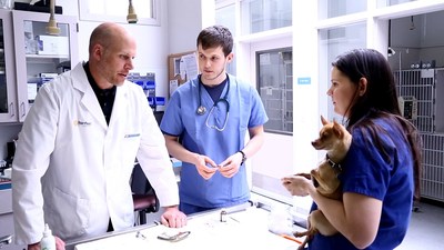 Banfield Pet Hospital's Veterinary Student Debt Relief Program aims to support the financial well-being of its veterinarians