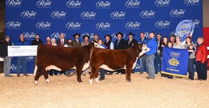 Hereford and Shorthorn Top Masterfeeds Beef Supreme Class at the 95th Royal Winter Agricultural Fair