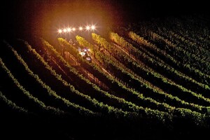 California Wine 2017 Harvest Report