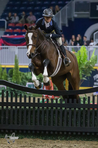 Erynn Ballard of Tottenham, ON, and Enchanted won the $25,000 Knightwood Hunter Derby on Tuesday, November 7, at the Royal Horse Show in Toronto, ON. Photo by Ben Radvanyi Photography (CNW Group/Royal Agricultural Winter Fair)