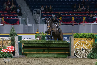 Darcy Hayes of Aurora, ON, finished in second riding Say When, owned by Danielle Trudell-Baran. Photo by Ben Radvanyi Photography (CNW Group/Royal Agricultural Winter Fair)