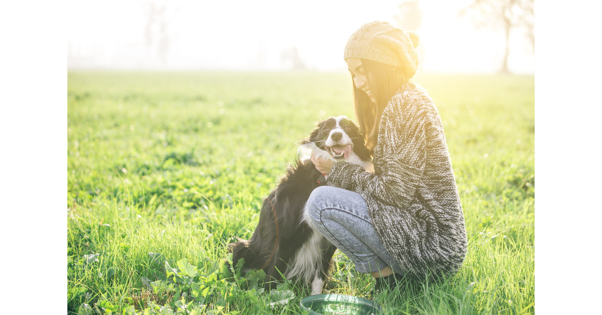 Healthy Paws Pet Insurance® Releases Cost Of Pet Health ...