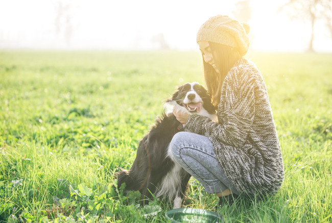 Healthy Paws Pet Insurance® Releases Cost Of Pet Health ...