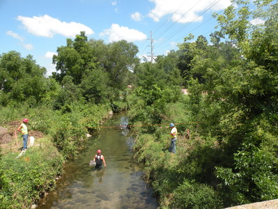 Native plant restoration and ongoing environmental maintenance across 22 acres of the ITC Midwest electricity transmission corridor at McLoud Run Park in Cedar Rapids, Iowa have earned the utility a Wildlife Habitat Council Conservation Certification.