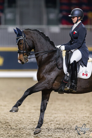 Megan Lane Wins Second Consecutive $20,000 Royal Invitational Dressage Cup