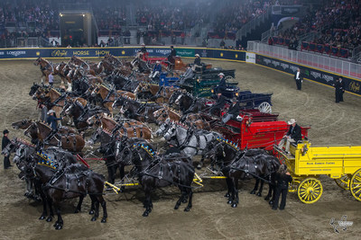 The impressive line-up of hitches in the Royal Six-Horse Draft Championship on Saturday night, November 11, at the Royal Horse Show in Toronto, ON. ﻿Photo by Ben Radvanyi Photography (CNW Group/Royal Agricultural Winter Fair)