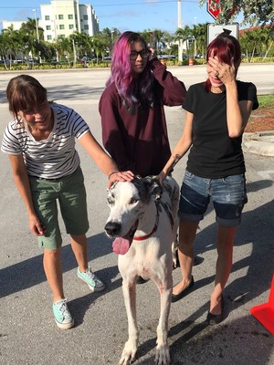 Families burst into tears upon being reunited with beloved pets who were displaced by Hurricane Maria when it struck Puerto Rico. American Humane, Wings of Rescue, The Sato Project, and the Humane Society of Broward County worked together to put pets, including a blind 7-year-old dog, back into the arms of their families now in the United States.