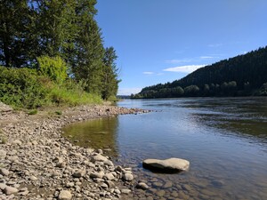 Missing Evidence Threatens B.C.'s Most Treasured Natural Resources