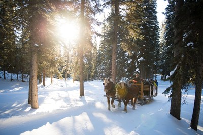 Sleigh Ride at Lone Mountain Ranch