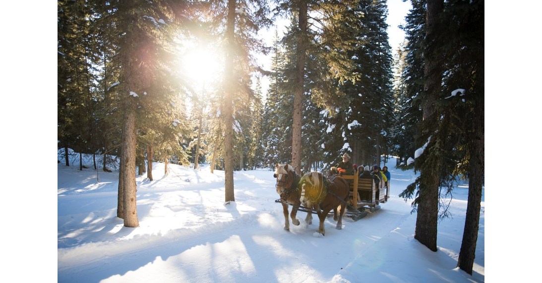 Starry Skies and Sleigh Rides