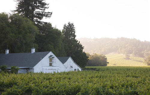 The 2018 Sonoma County Barrel Auction will take place at MacMurray Estate Vineyards™, one of Russian River Valley’s most acclaimed Pinot Noir vineyards. Deeply rooted in Sonoma County, the picturesque MacMurray Estate has been in agricultural production for over 150 years. Pinot Noir vines were first planted in 1996, marking a new beginning for the historic estate as a world-class vineyard.