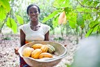 General Mills Signs on to World Cocoa Foundation's Joint Frameworks for Action to Combat Deforestation