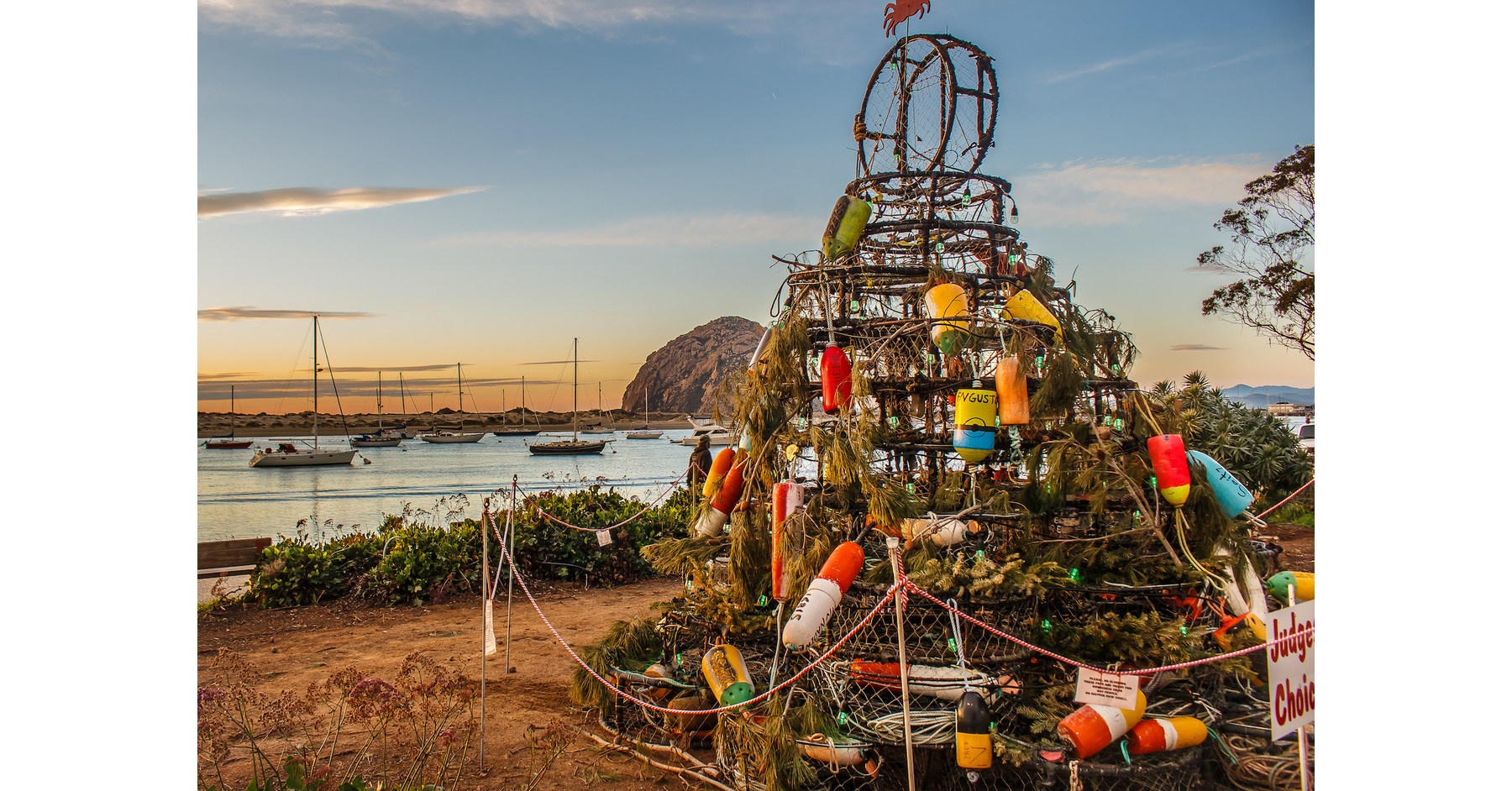 15 Crab Pot Holiday Trees Will LightUp the Fishing Village of Morro