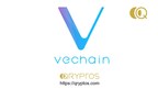 VeChain Announces Listing on QRYPTOS