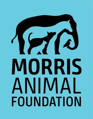 Help Animals Around the World on #GivingTuesday, Nov. 28, With Morris Animal Foundation