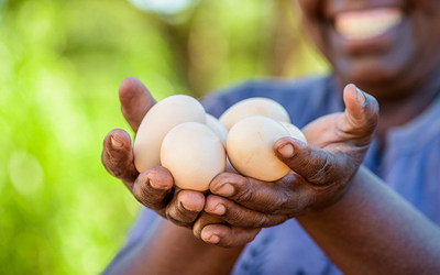 The Burnbrae Farms and World Vision Canada partnership has provided approximately one million eggs to families in need (CNW Group/World Vision Canada)