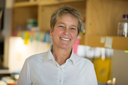 Synthorx Inc. announced today that Laura Shawver, Ph.D., was appointed president, chief executive officer (CEO), and director of Synthorx. Dr. Shawver brings many years of experience as a successful and passionate entrepreneur, drug developer, and advocate for people fighting serious diseases.