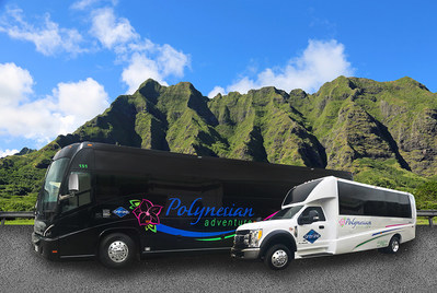 New motor coaches and mini buses with new branding.