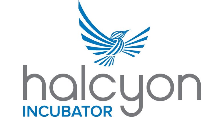 Newest Halcyon Incubator Cohort Tackling Top Current Social Issues