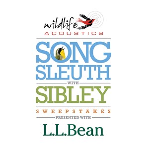 Wildlife Acoustics and L.L.Bean Launch "Song Sleuth with Sibley" Sweepstakes