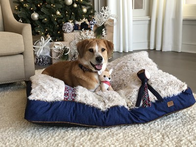 Petmate and MuttNation Fueled by Miranda Lambert team up to 'save a mutt' this holiday season.  All of Miranda's proceeds from the MuttNation pet collection including the Guitar Strap Collection go directly to MuttNation Foundation. Save a Mutt. Shop MuttNation.