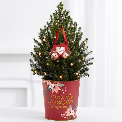 ProFlowers launched its Gifts for Good™ Collection, featuring this Giving Tree™, a live Spruce tree complete with twinkle lights, a festive tin and an ornament. This fresh, fragrant mini-tree arrives ready to decorate and can be planted outside after its holiday indoor enjoyment. ProFlowers will contribute $5 to KidsGardening from every item sold in the Gifts for Good™ Collection through Dec. 25, 2017.