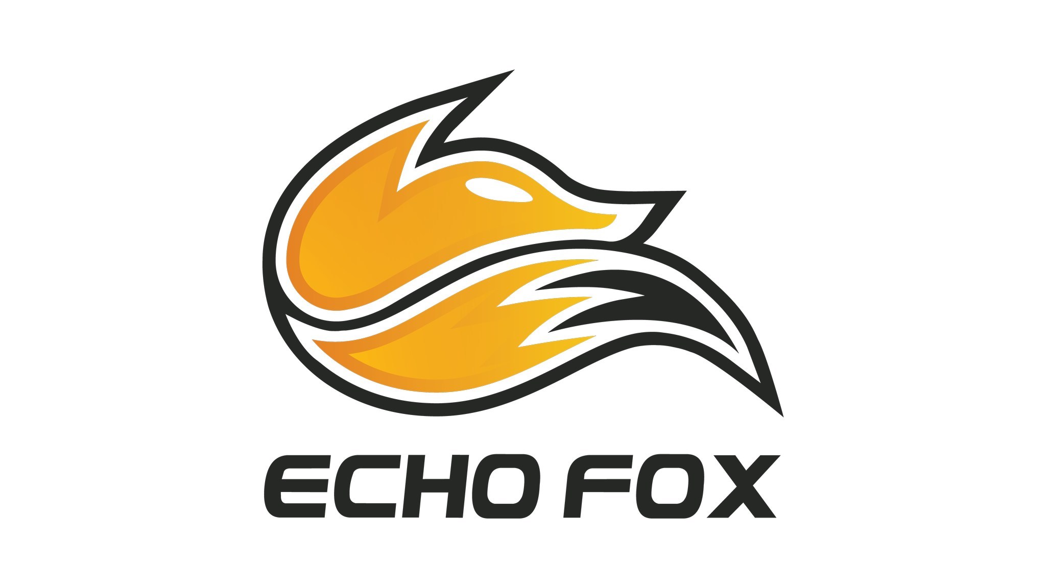 echo fox
