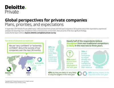 Global perspectives from private companies: plans, priorities, and expectations
