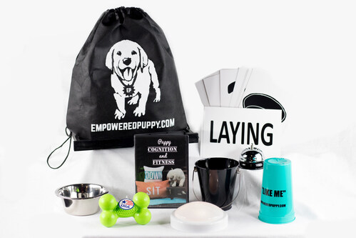 You Can Teach Your Puppy To Read!