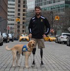 Making the Most of the Holidays With an Assistance Dog
